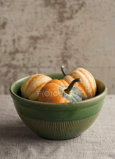 Fresh picked squashes — Stock Photo