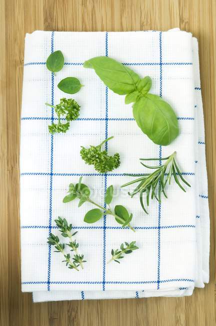 Vista superior de várias ervas frescas em uma toalha de chá — Fotografia de Stock