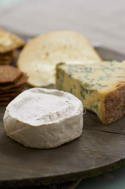 Divers fromages sur les planches à pain — Photo de stock