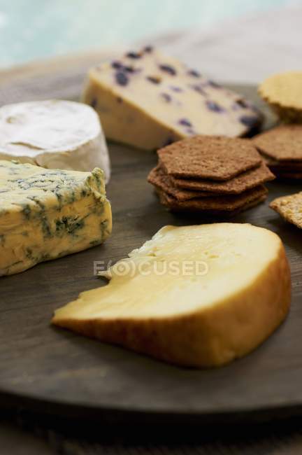 Plateau de fromage avec craquelins — Photo de stock