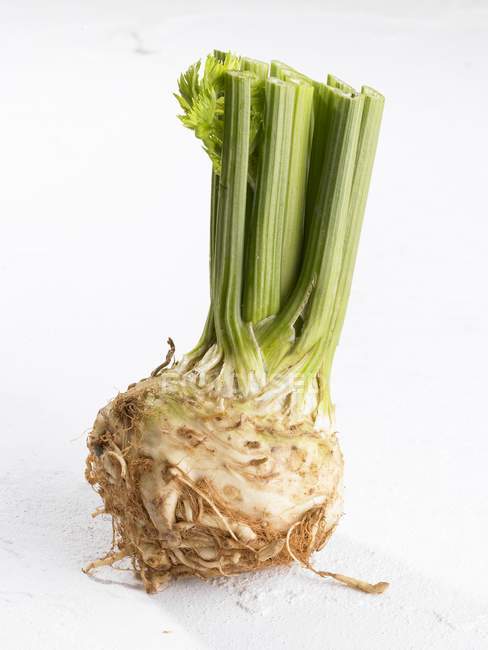 Raw fresh Celeriac on white background — Stock Photo