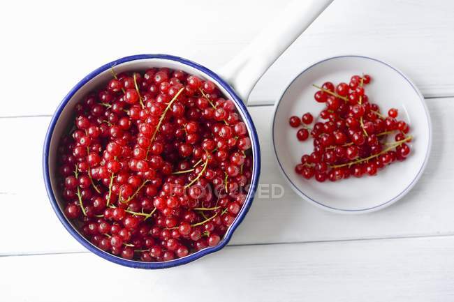 Redcurrants in saucepan and in plate — Stock Photo