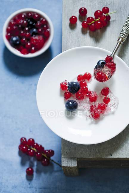 Champagne jelly with berries — Stock Photo