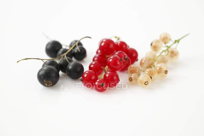 Blackcurrants with redcurrants and whitecurrants — Stock Photo