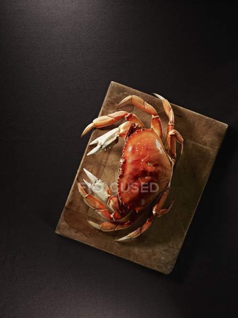 Vue de dessus d'un crabe cuit à la vapeur sur une planche en bois — Photo de stock