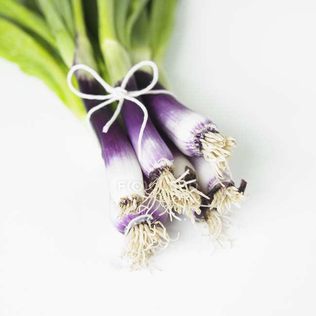 Cebolletas púrpuras orgánicas sobre superficie blanca - foto de stock