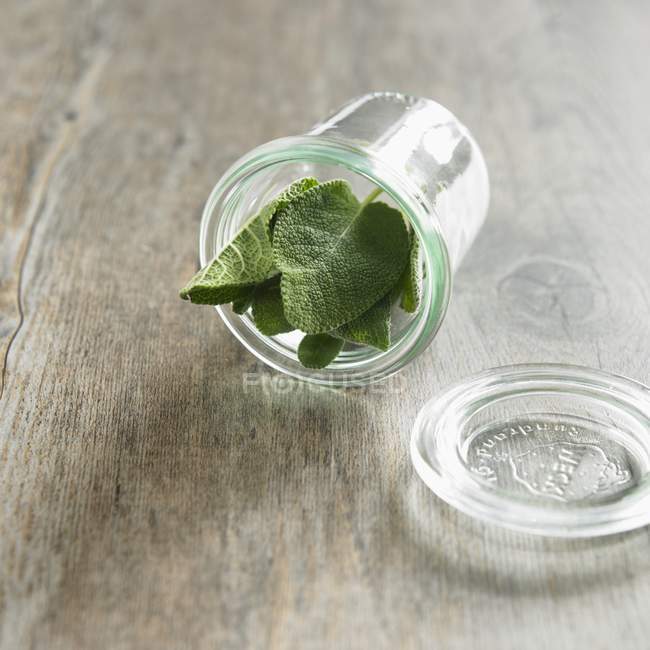 Salvia biologica in vaso di vetro — Foto stock