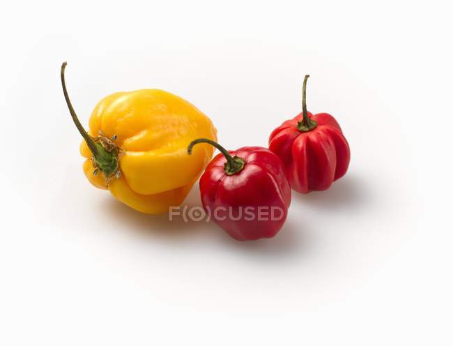 Rote und gelbe Habaneros auf weißem Hintergrund — Stockfoto