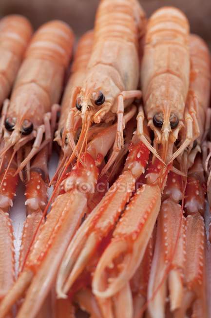 Vista de primer plano del montón de cangrejos de río cocidos rojos - foto de stock