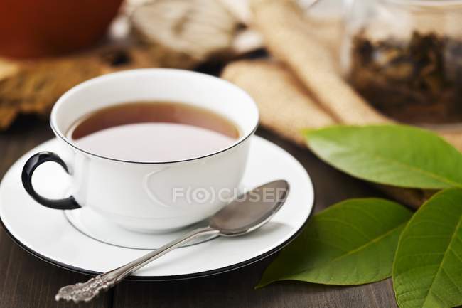 Cup of walnut leaf tea — Stock Photo