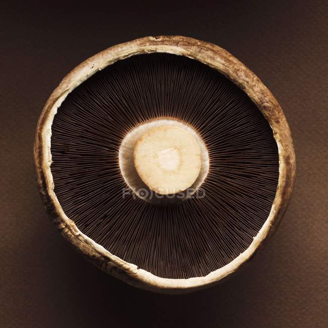Nahaufnahme von oben auf die Unterseite eines Portobello-Pilzes — Stockfoto
