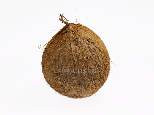Coco fresco maduro - foto de stock