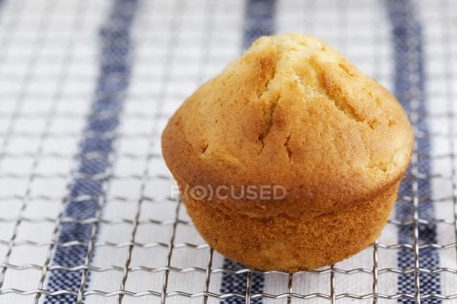 Pfirsich-Muffin auf Drahtgestell — Stockfoto