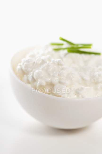 Bowl of cottage cheese — Stock Photo