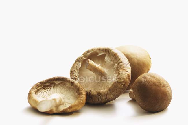 Champignons shiitake frais — Photo de stock