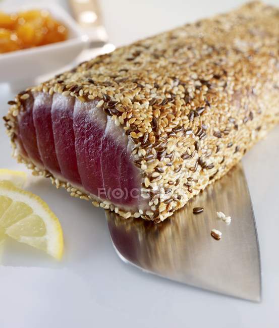 Thunfisch mit Sesamkruste — Stockfoto