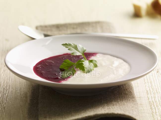 Соус из свеклы и кольраби на белой тарелке — стоковое фото