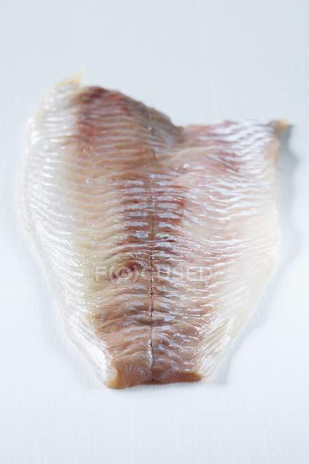 Fresh fish fillet — Stock Photo