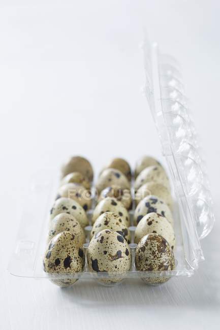 Quail eggs in egg box — Stock Photo