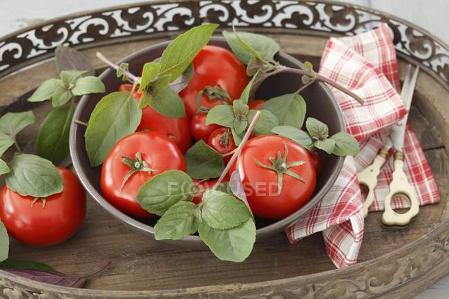 Tomatoes and fresh basil — Stock Photo