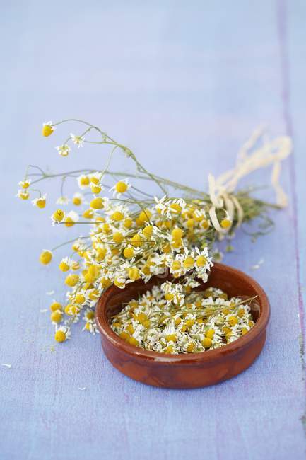 Elevated view of dried chamomile flowers — Stock Photo