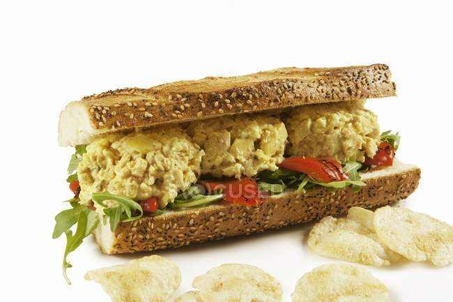 Сэндвич с куриным салатом и картофельными чипсами на белой поверхности — стоковое фото