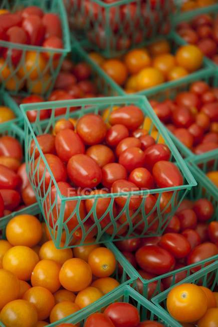 Tomates cerises en petites caisses en plastique — Photo de stock