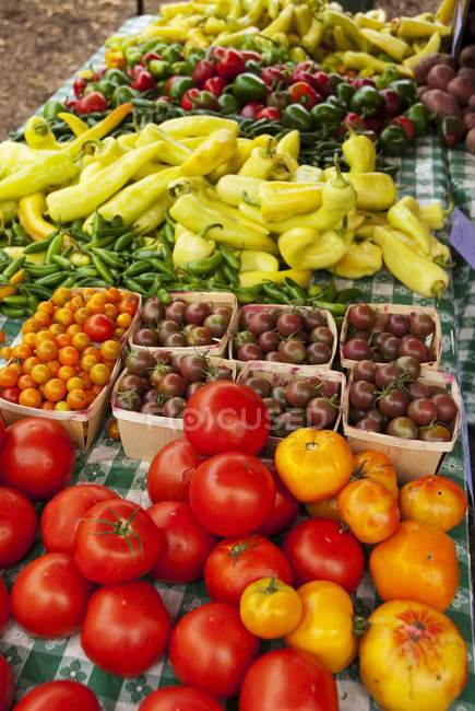 Verdure fresche su un tavolo del mercato degli agricoltori all'aperto — Foto stock