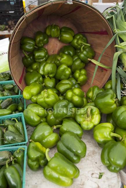 Peppers in wooden bucket — Stock Photo