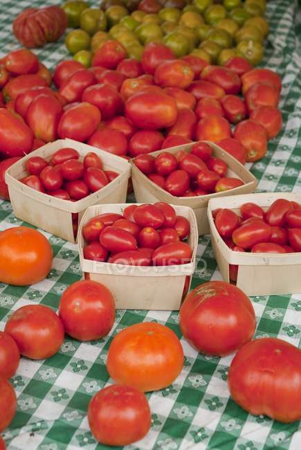 Variété de tomates rouges — Photo de stock