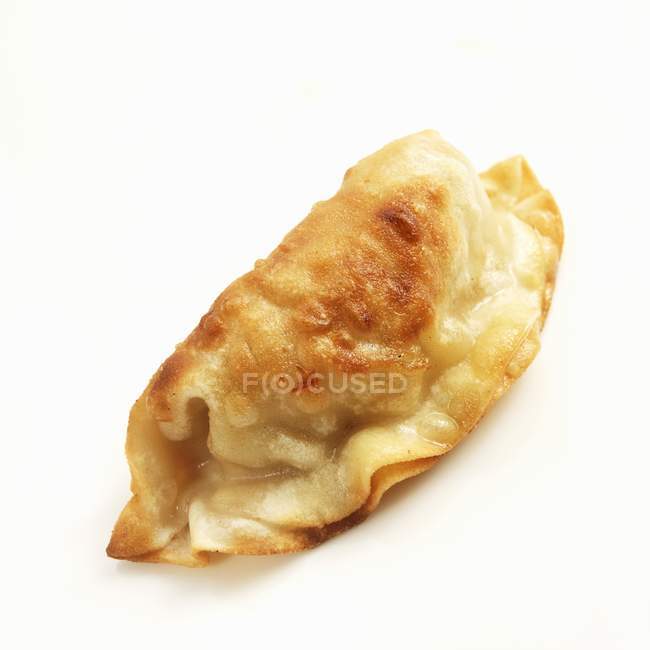 Closeup view of one potsticker on white background — Stock Photo