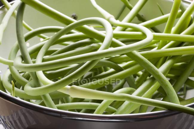 Fresh green Garlic Scapes — Stock Photo