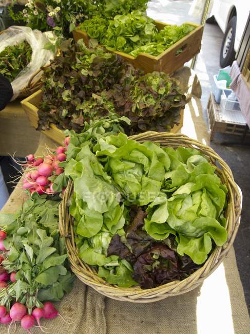 Verdes de salada sortidas no Union Square Greenmarket, Nova York, EUA — Fotografia de Stock