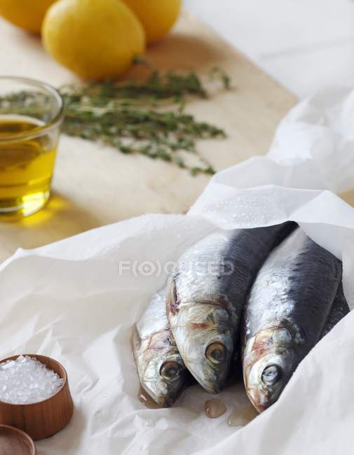 Fresh Sardines on Parchment Paper — Stock Photo