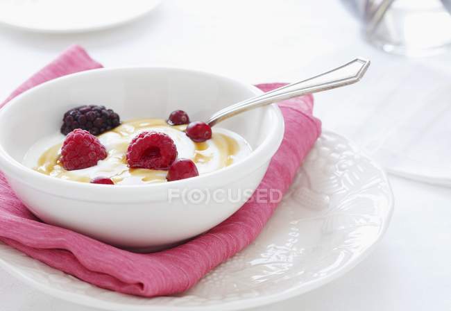 Bowl of organic yogurt with cranberries — Stock Photo