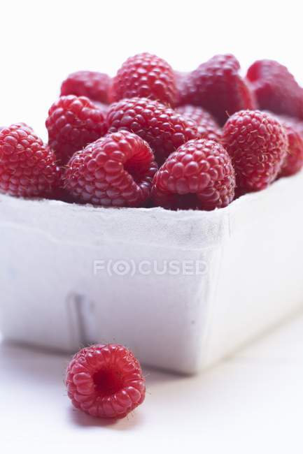 Raspberries in cardboard punnet — Stock Photo