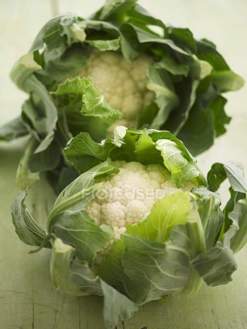 Coliflor blanca fresca con hojas - foto de stock