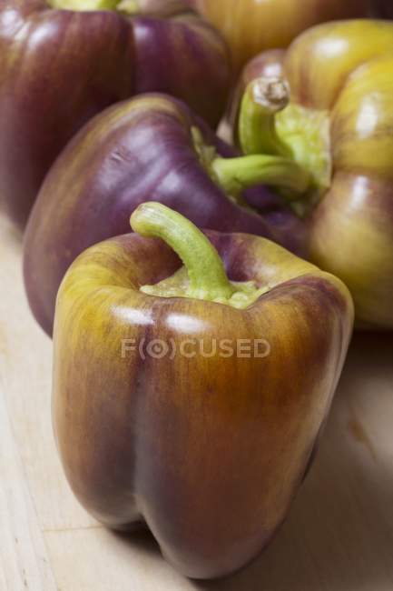 Colorful Bell Peppers — Stock Photo