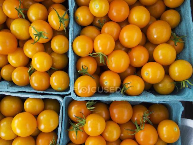Tomates cereza amarilla - foto de stock
