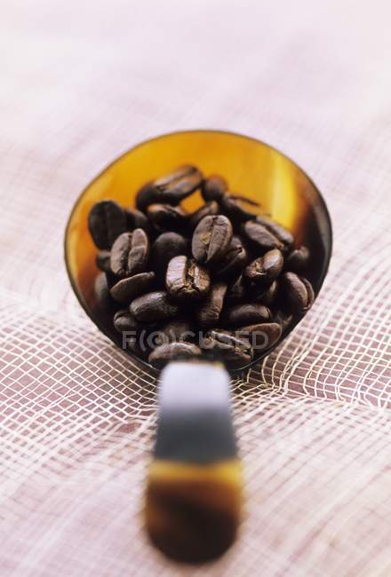 Roasted coffee beans — Stock Photo