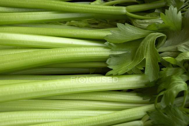 Fresh Celery stalks with leaves — Stock Photo
