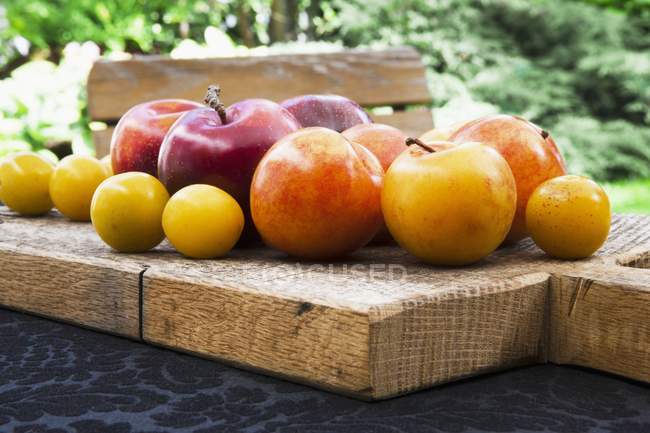 Red and yellow plums with mirabelles — Stock Photo