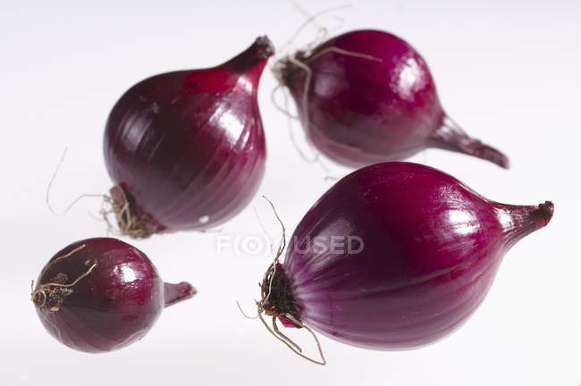 Four red onions — Stock Photo