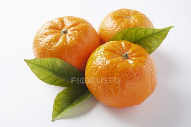 Fresh mandarins with leaves — Stock Photo