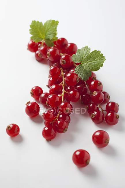 Bunches of redcurrants with leaves — Stock Photo