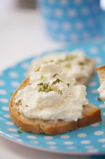 Fatias de pão com queijo — Fotografia de Stock
