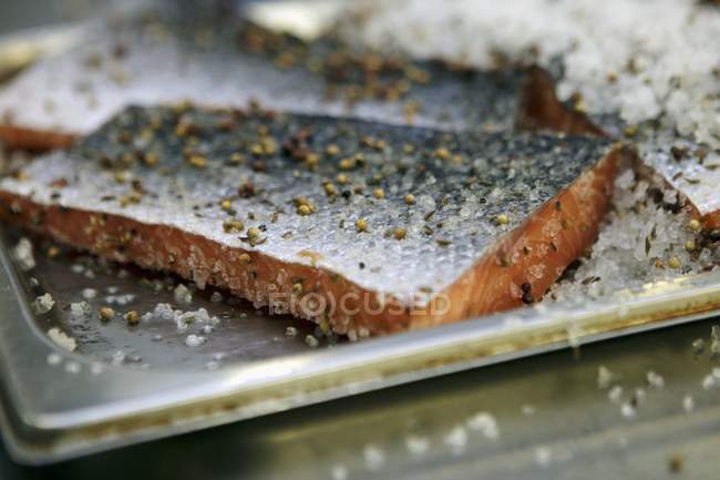 Gravlax com sal e especiarias — Fotografia de Stock