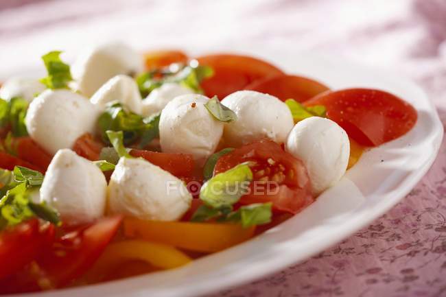 Tomaten-Mozzarella-Salat mit Basilikum — Stockfoto