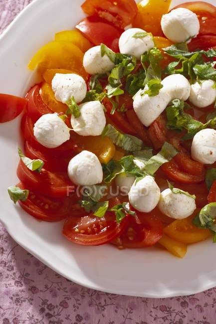 Salade de tomates et mozzarella au basilic — Photo de stock