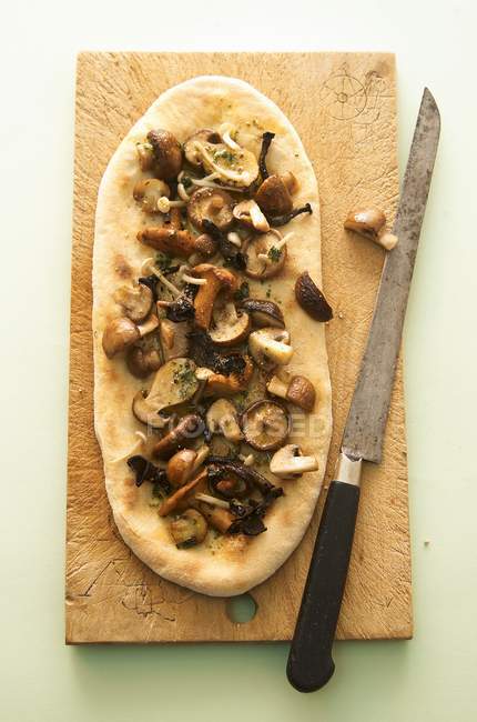 Pizza aux champignons cuites au four — Photo de stock